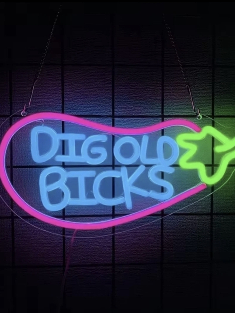 Led Neon Sign Dig Old Bicks